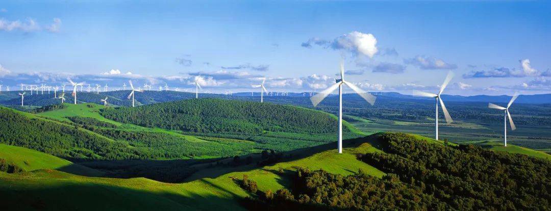 1699235605247032.jpeg 98.jpeg